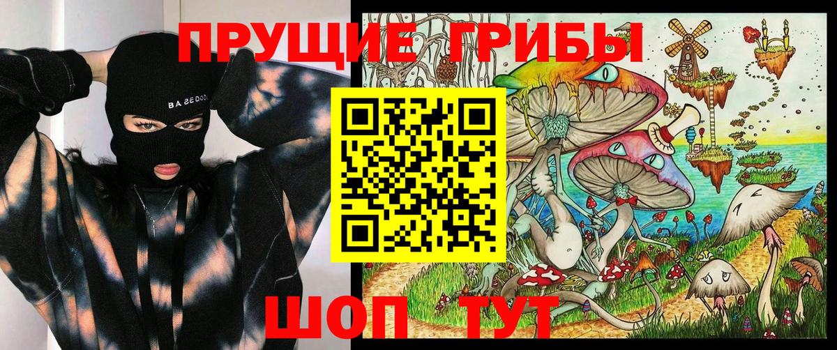 Галлюциногенные грибы Cubensis Бор