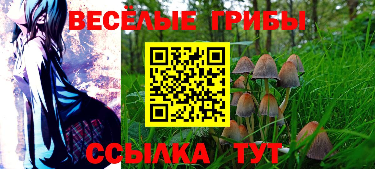 наркота  Псилоцибиновые грибы Psilocybe  Вход с VPN  Галлюциногенные грибы мухоморы  Бор 
